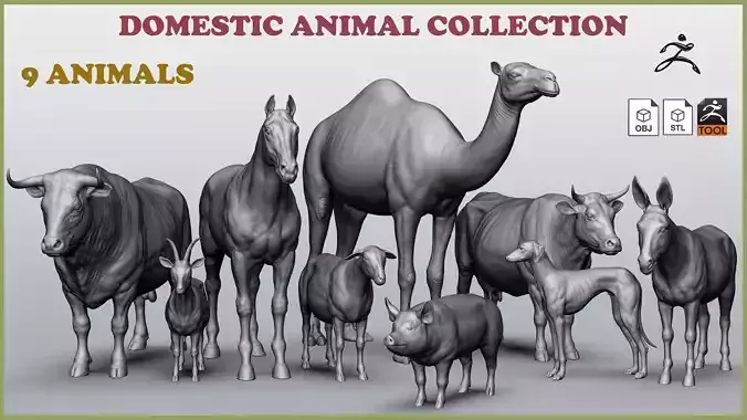 Domestic animal collection 3D model