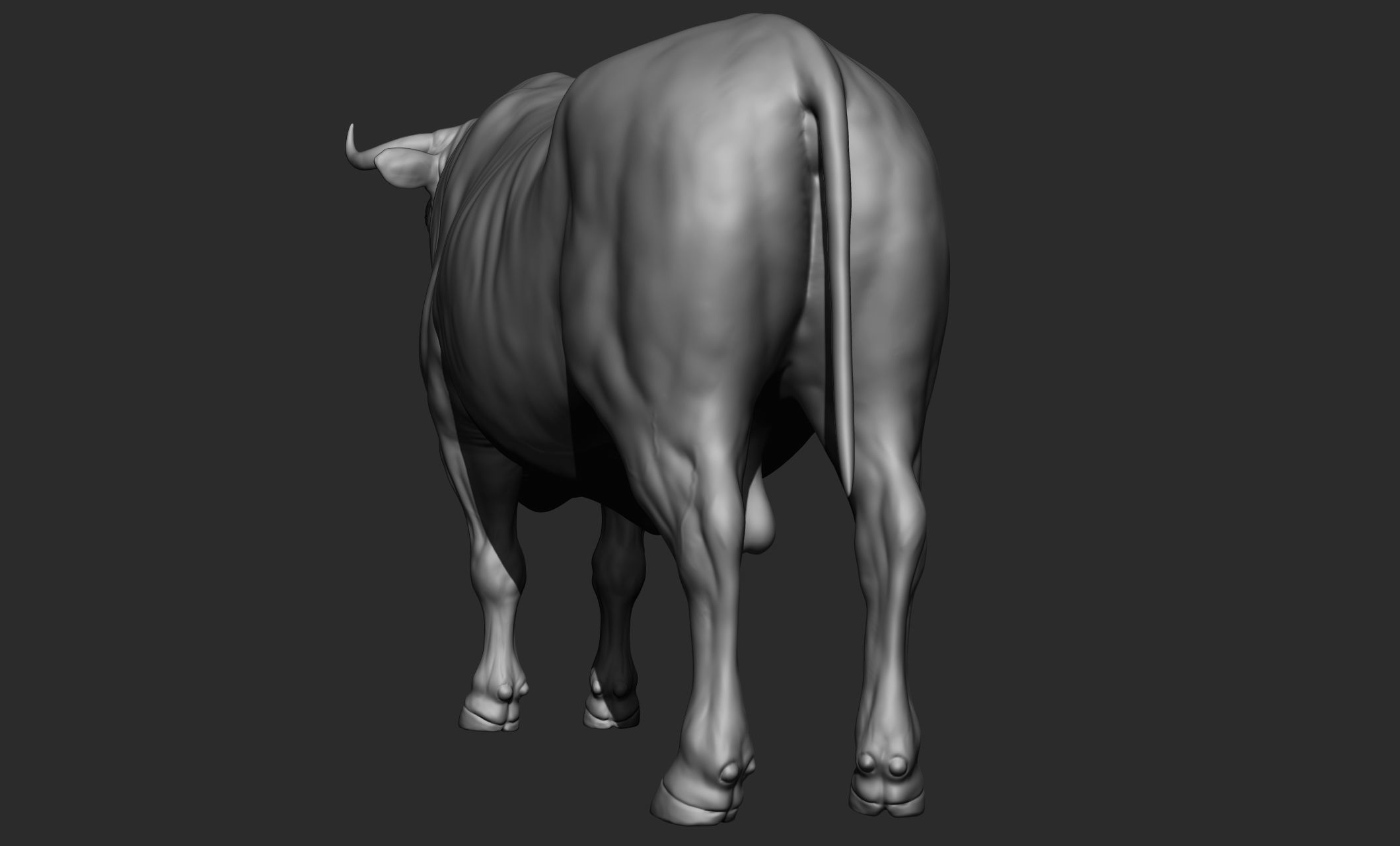 Domestic animal collection 3D model_30