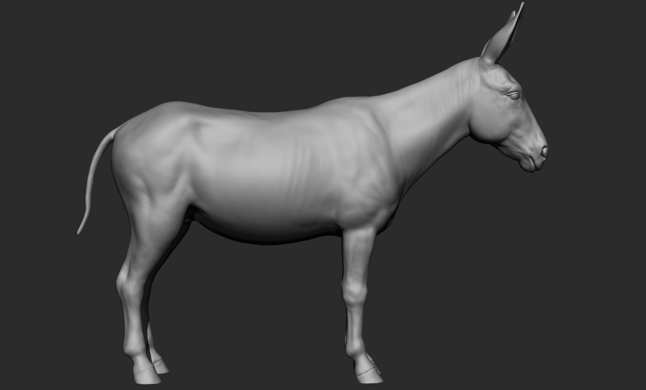Domestic animal collection 3D model_63