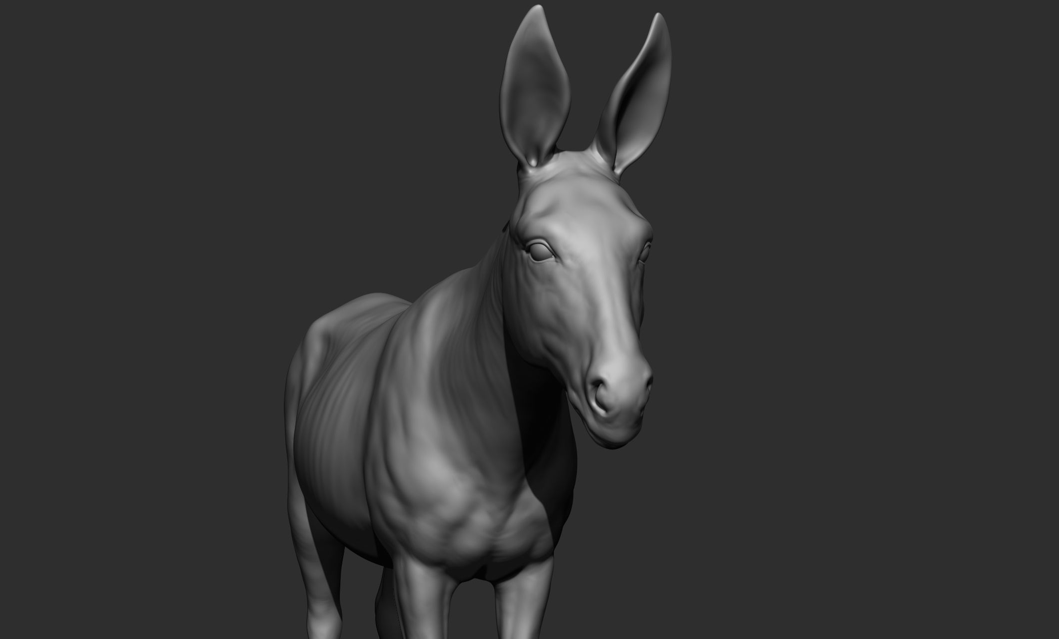 Domestic animal collection 3D model_65