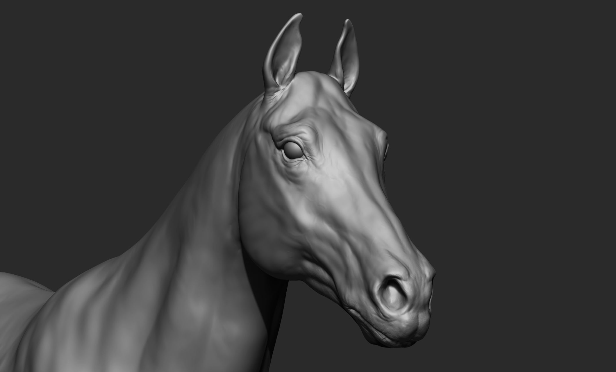 Domestic animal collection 3D model_23