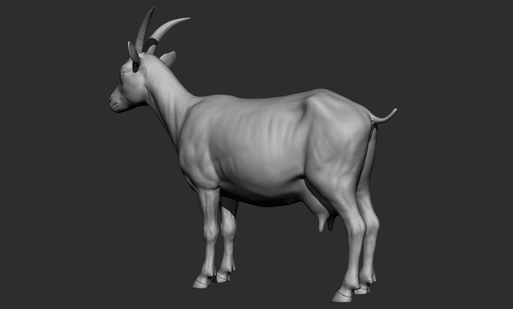 Domestic animal collection 3D model_77