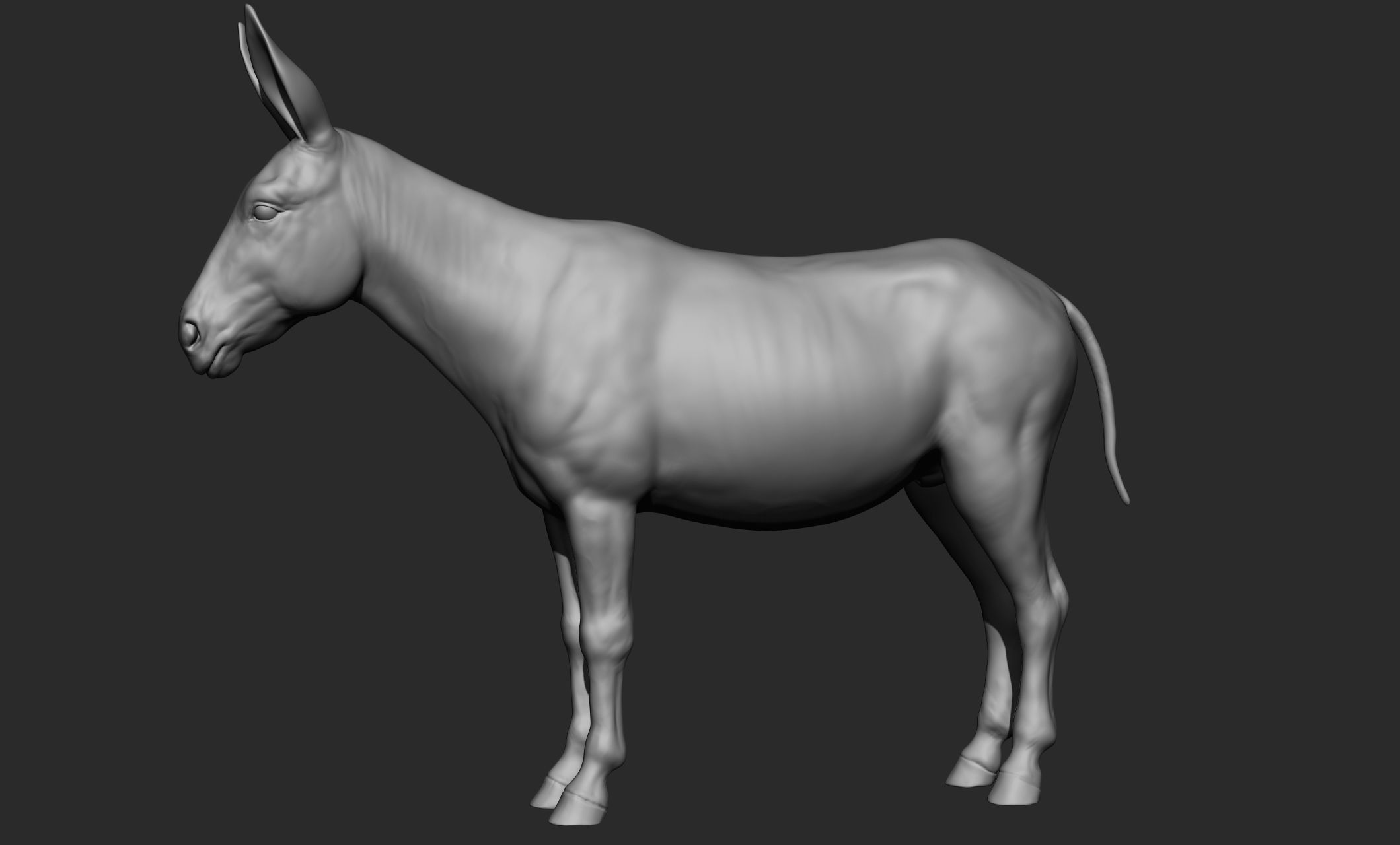 Domestic animal collection 3D model_59