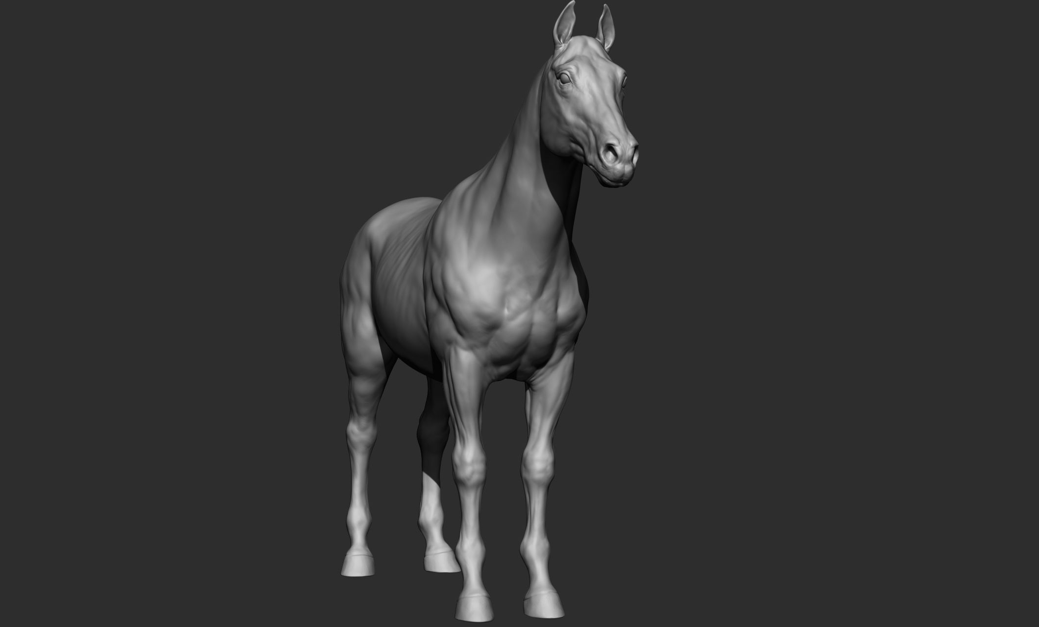Domestic animal collection 3D model_16