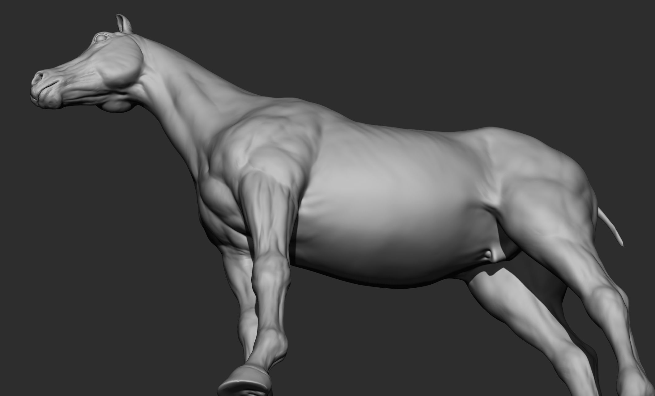 Domestic animal collection 3D model_21