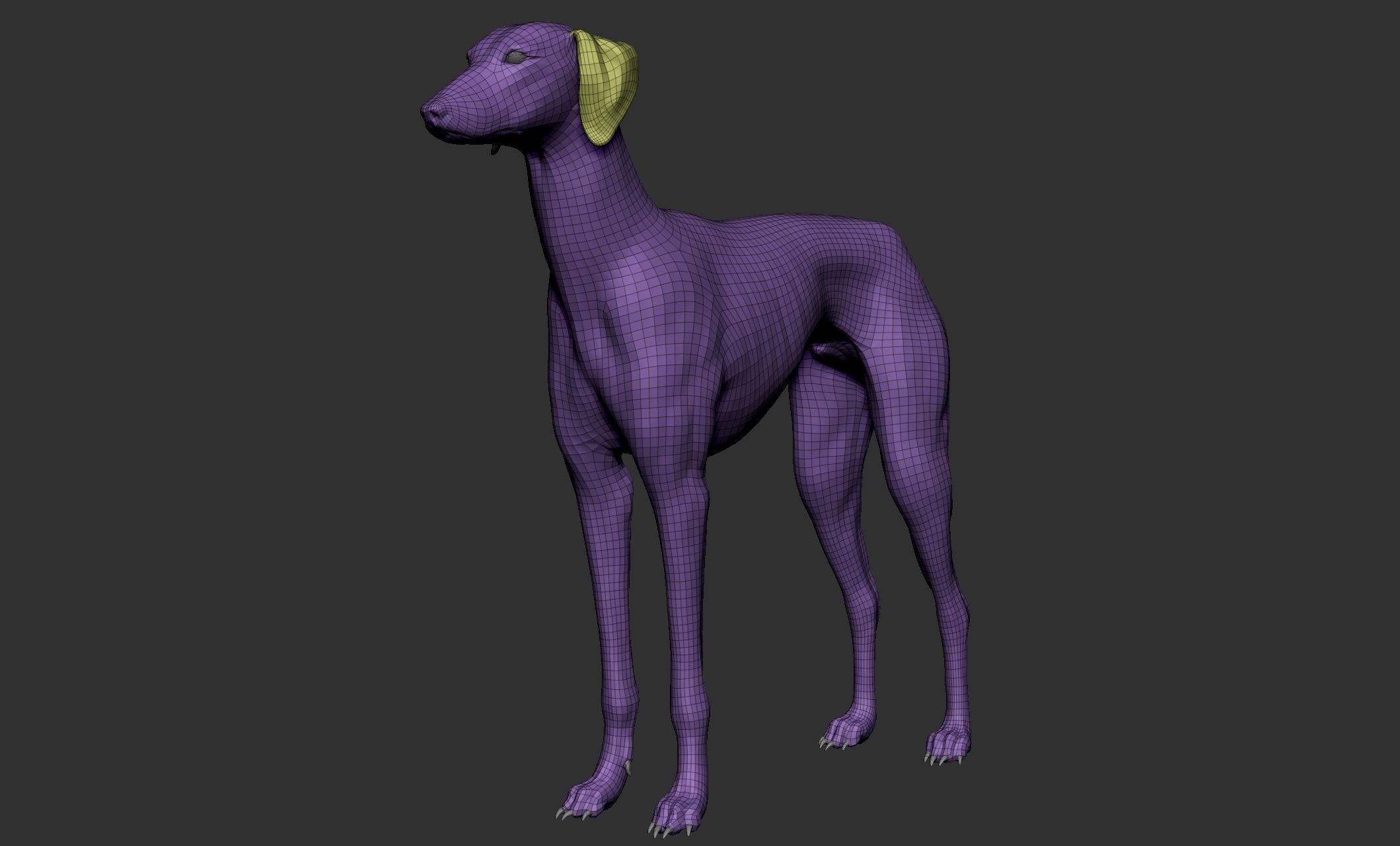 Domestic animal collection 3D model_93