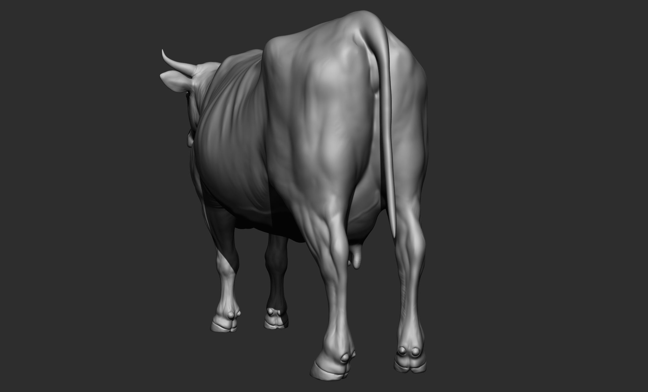 Domestic animal collection 3D model_42