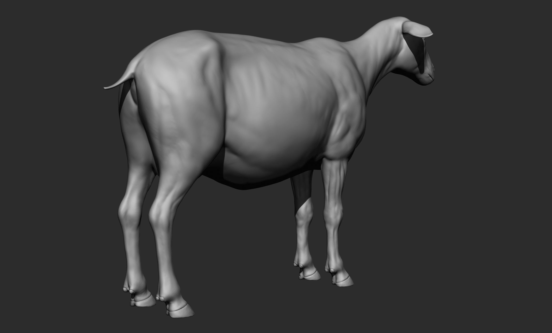 Domestic animal collection 3D model_71