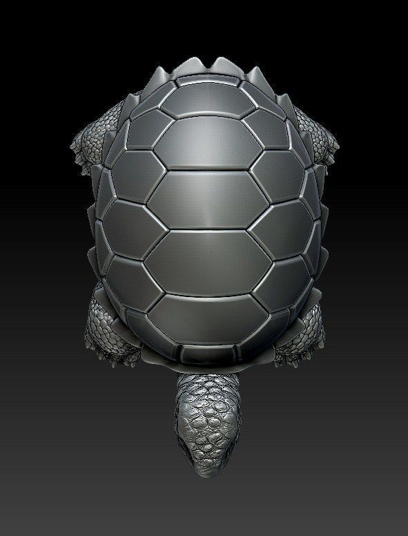 TURTLE tortoise 3D print model_1