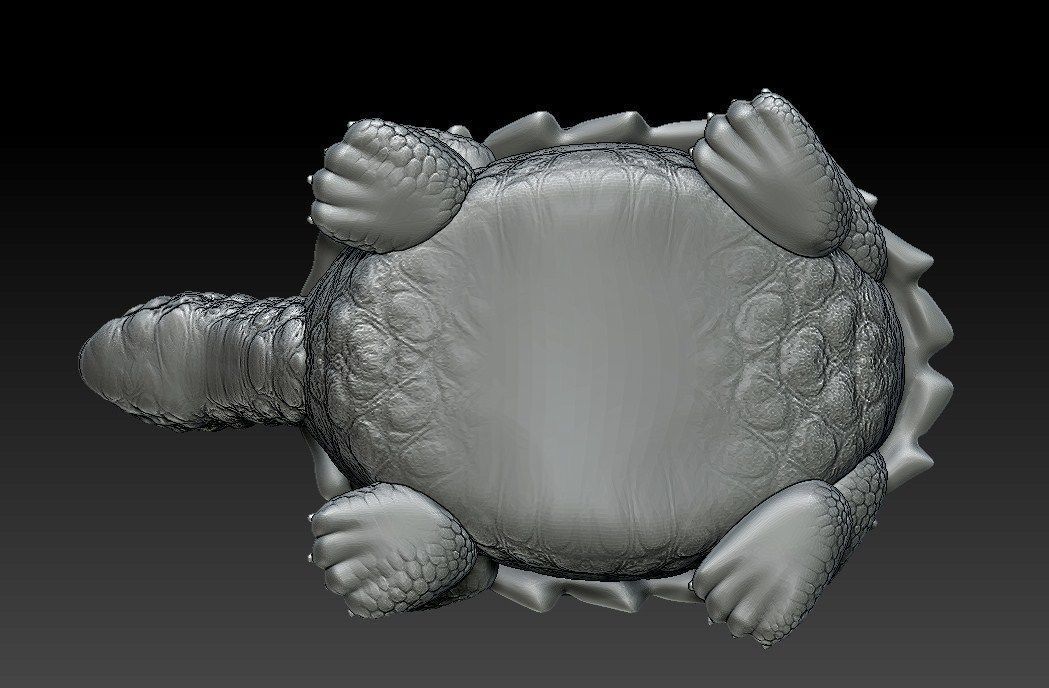 TURTLE tortoise 3D print model_2