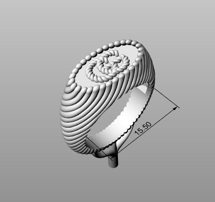 Ring famous family  3D print model_11