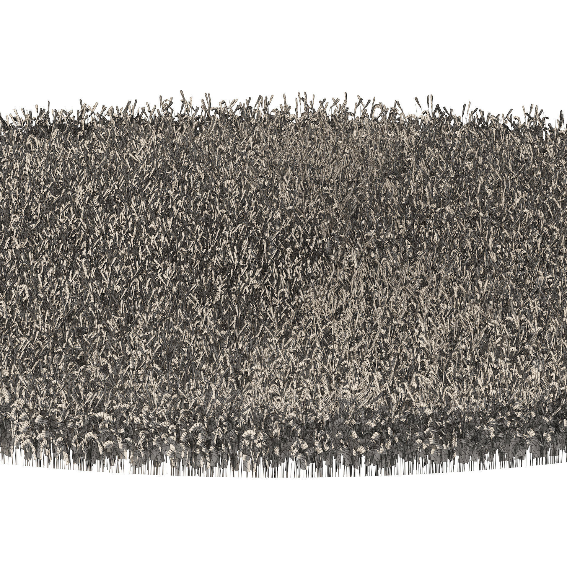 Young Wheat Field 3D model_4