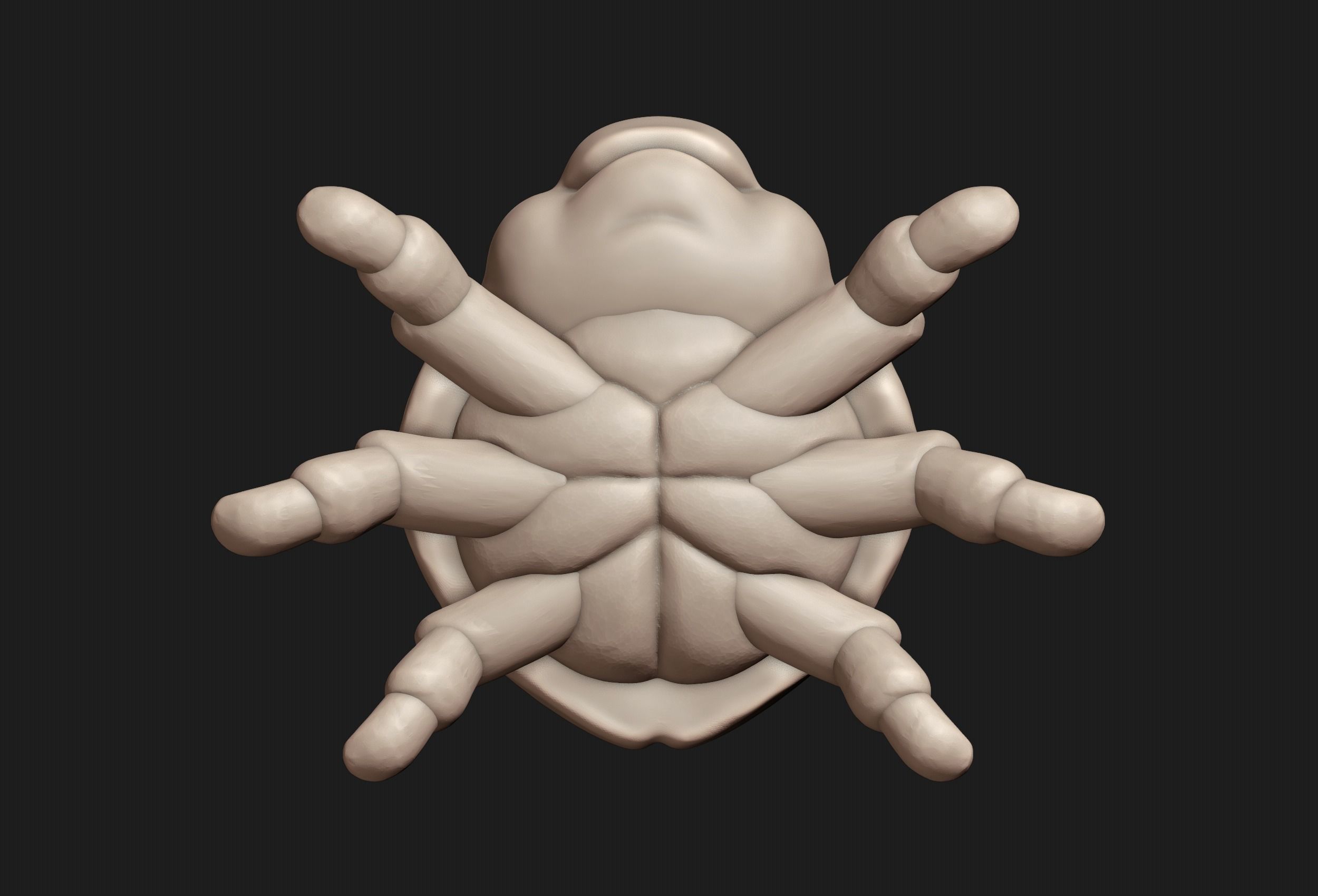 Ladybug bug 3D print model_14