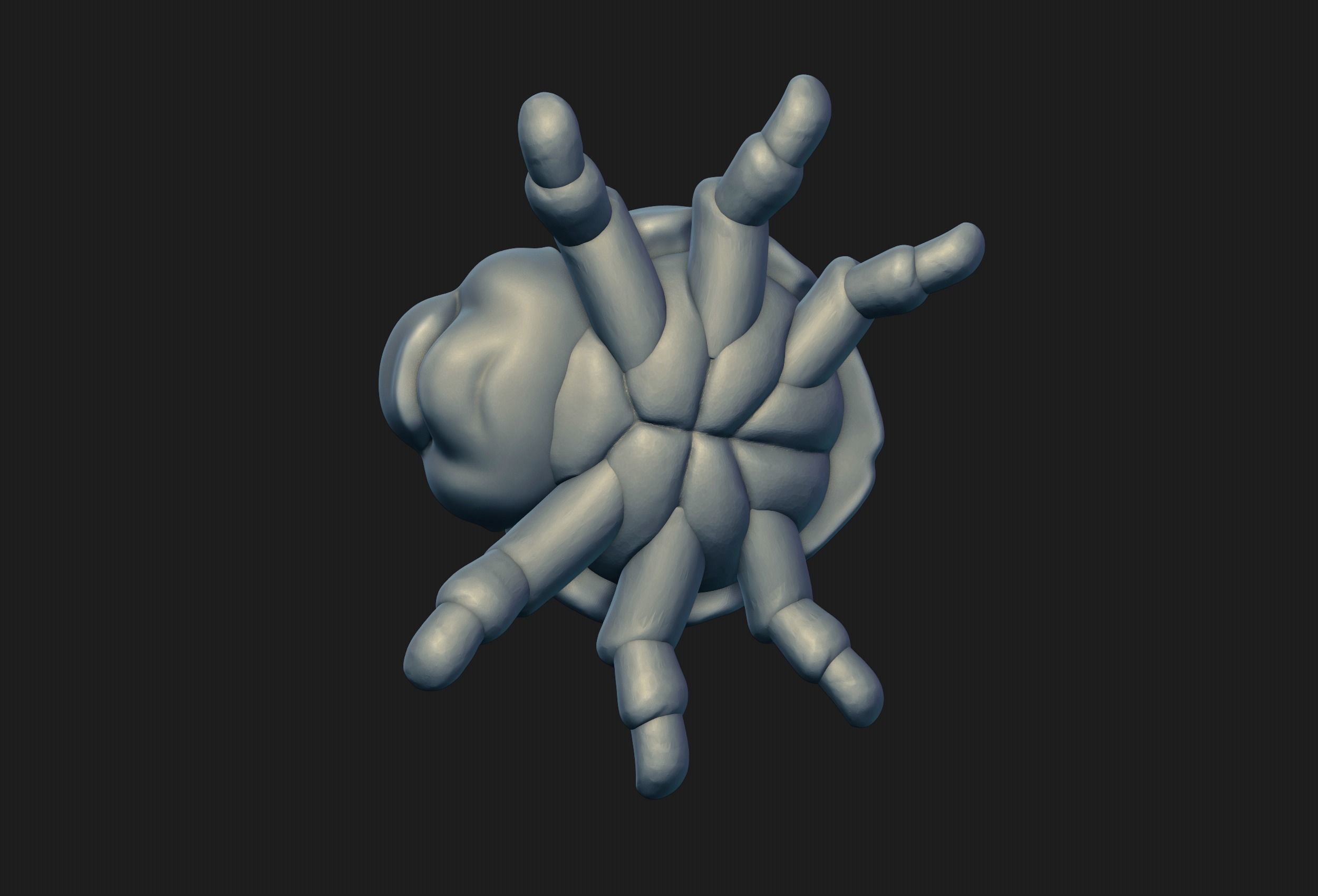 Ladybug bug 3D print model_8