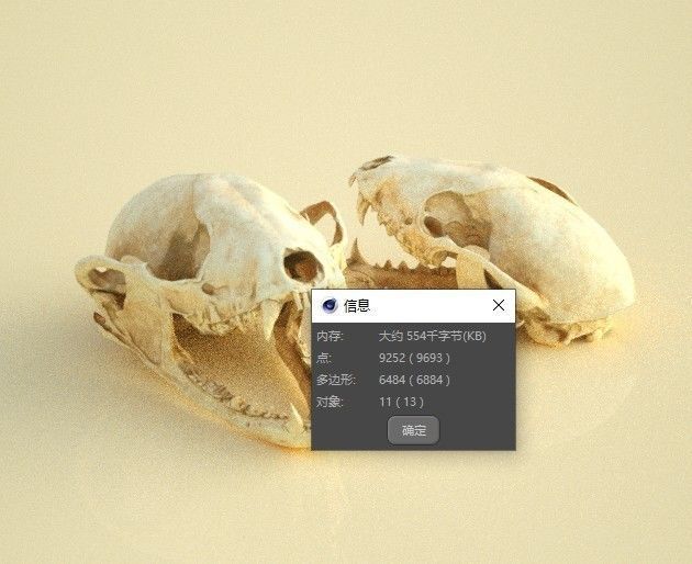 raccoon skull skull fossil 3D model_3