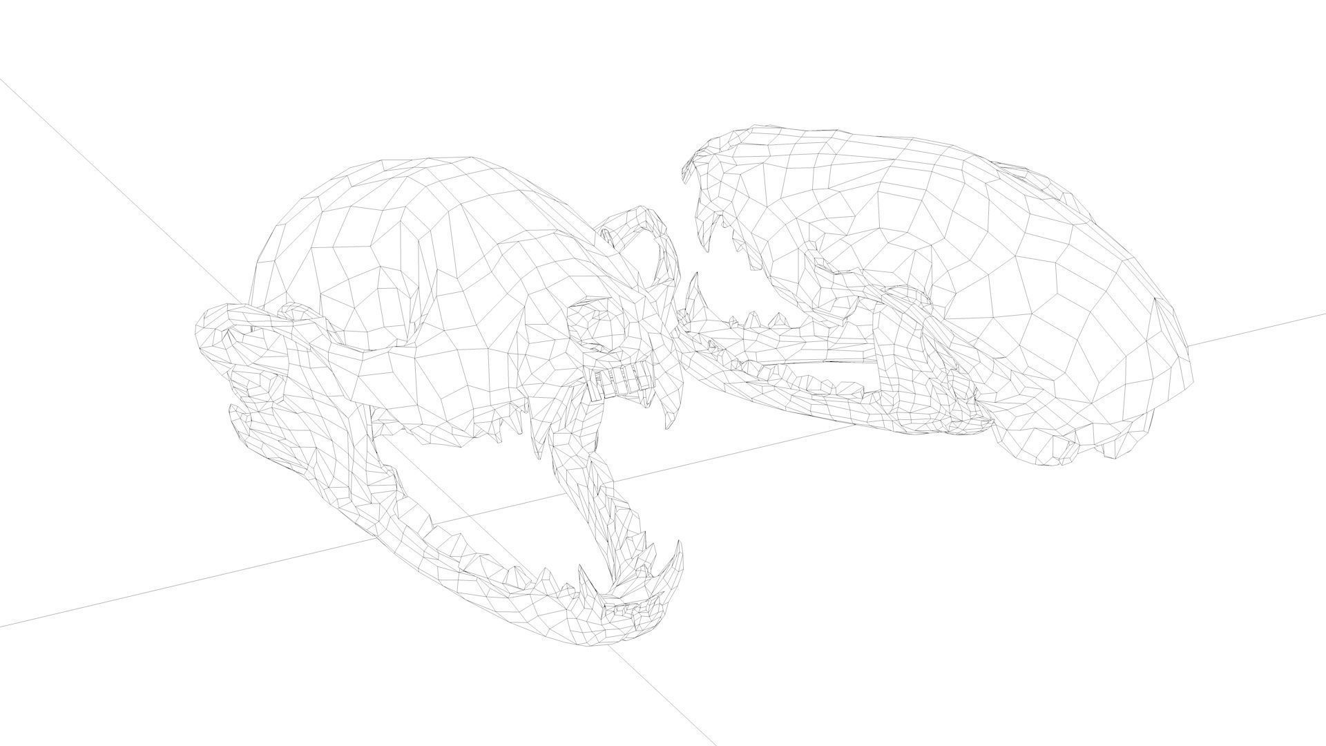 raccoon skull skull fossil 3D model_2