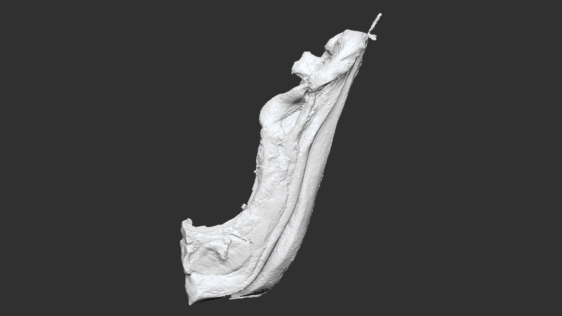 Hanging pork 3d Scan 3D model_19