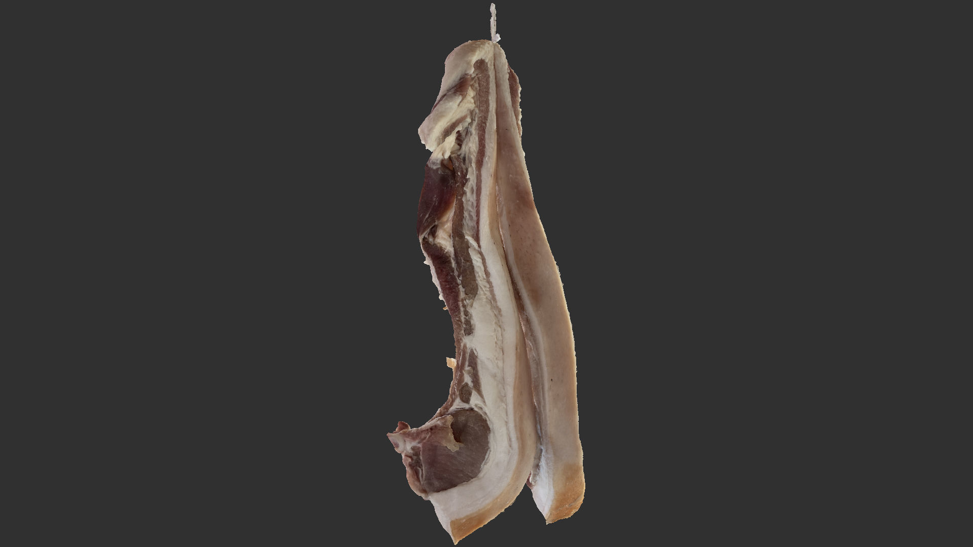 Hanging pork 3d Scan 3D model_3