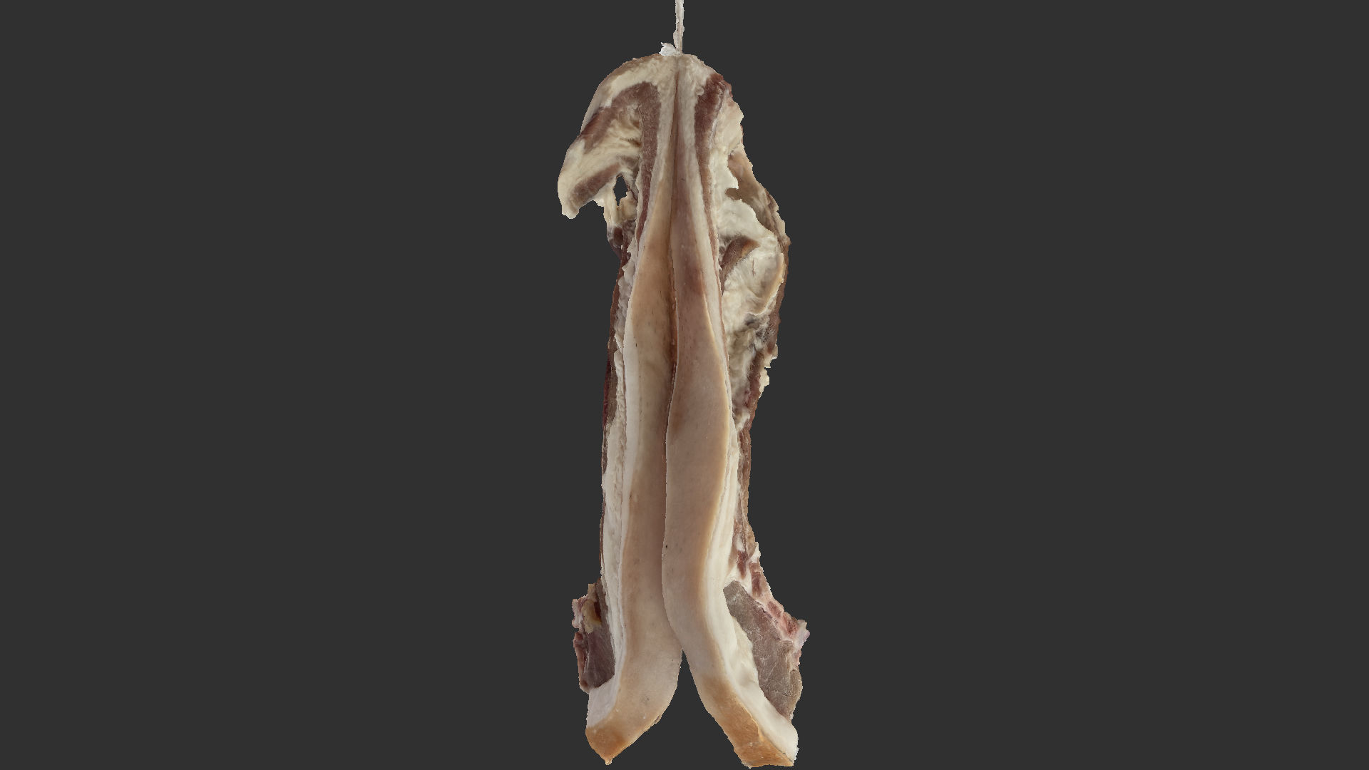 Hanging pork 3d Scan 3D model_1