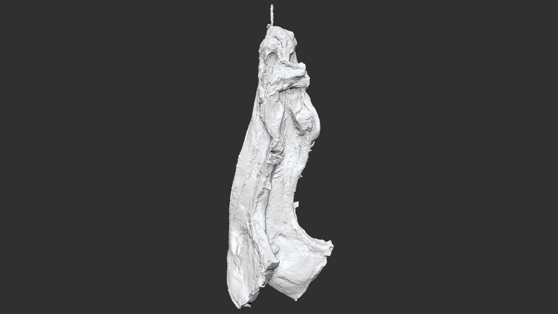 Hanging pork 3d Scan 3D model_17