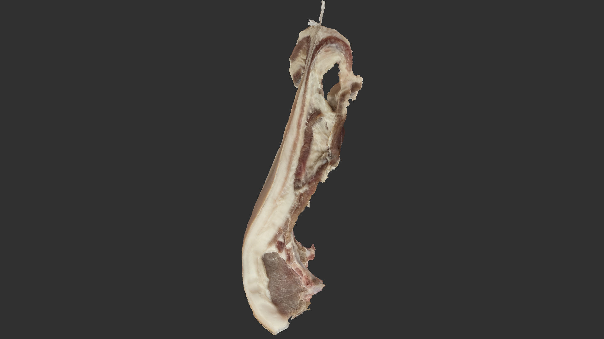 Hanging pork 3d Scan 3D model_7