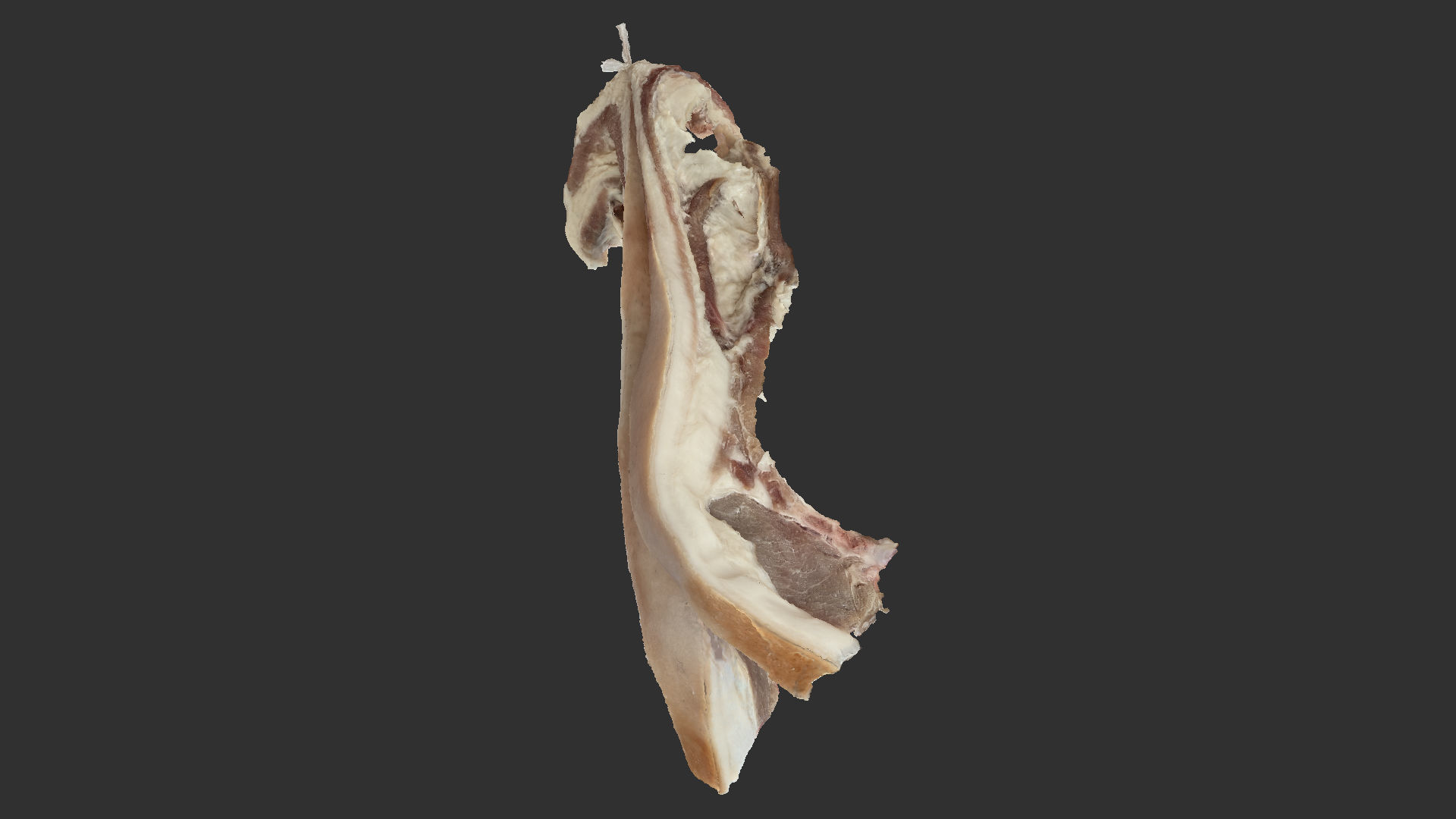 Hanging pork 3d Scan 3D model_12