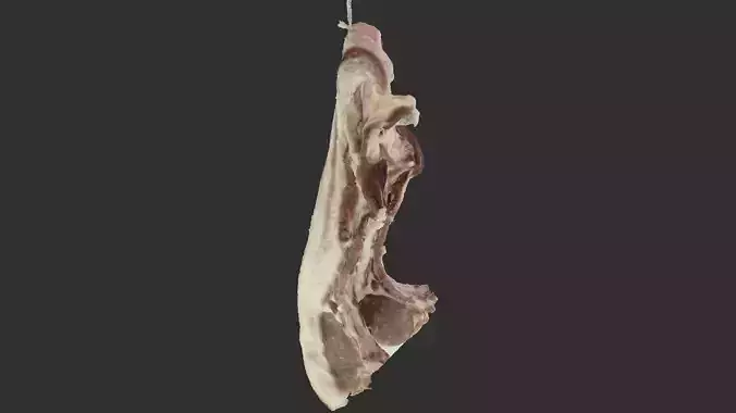 Hanging pork 3d Scan