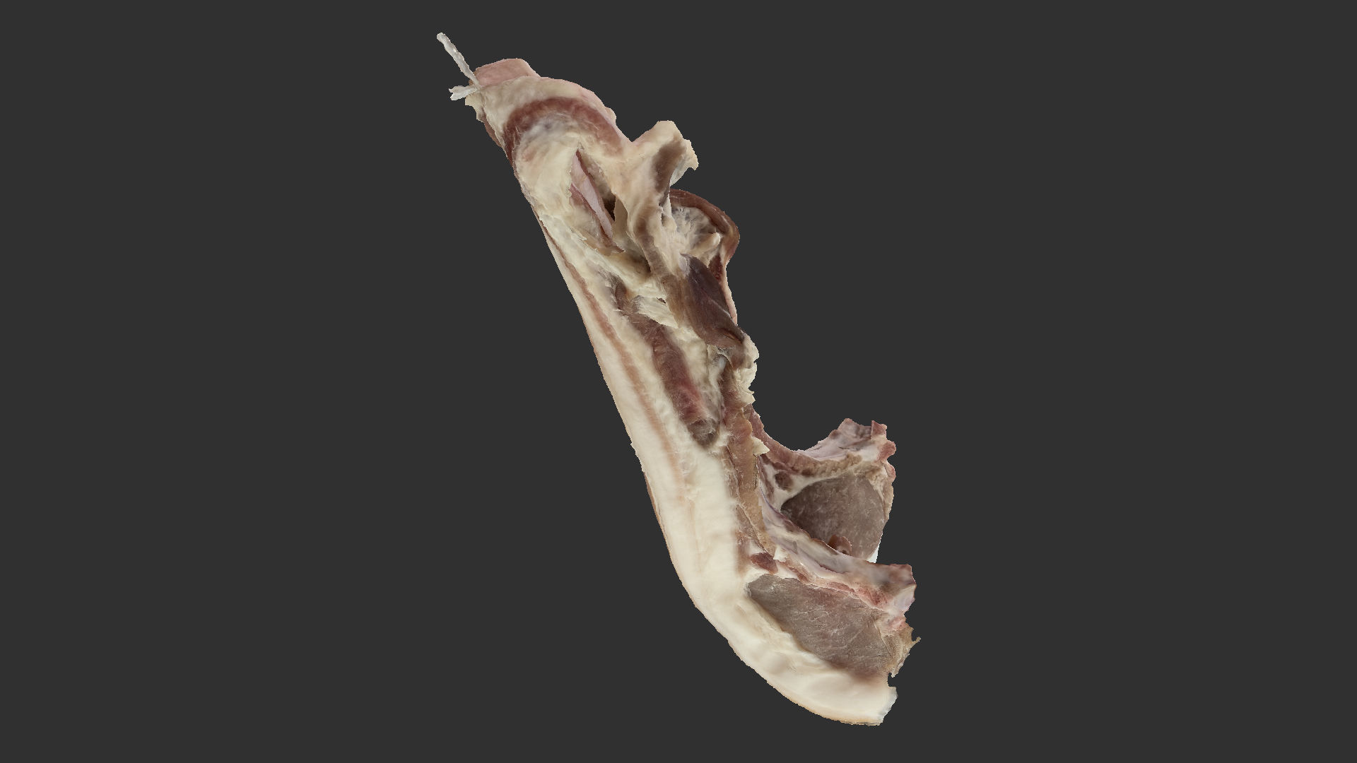 Hanging pork 3d Scan 3D model_13