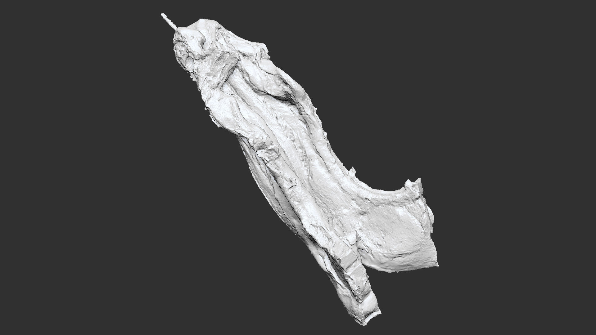 Hanging pork 3d Scan 3D model_18
