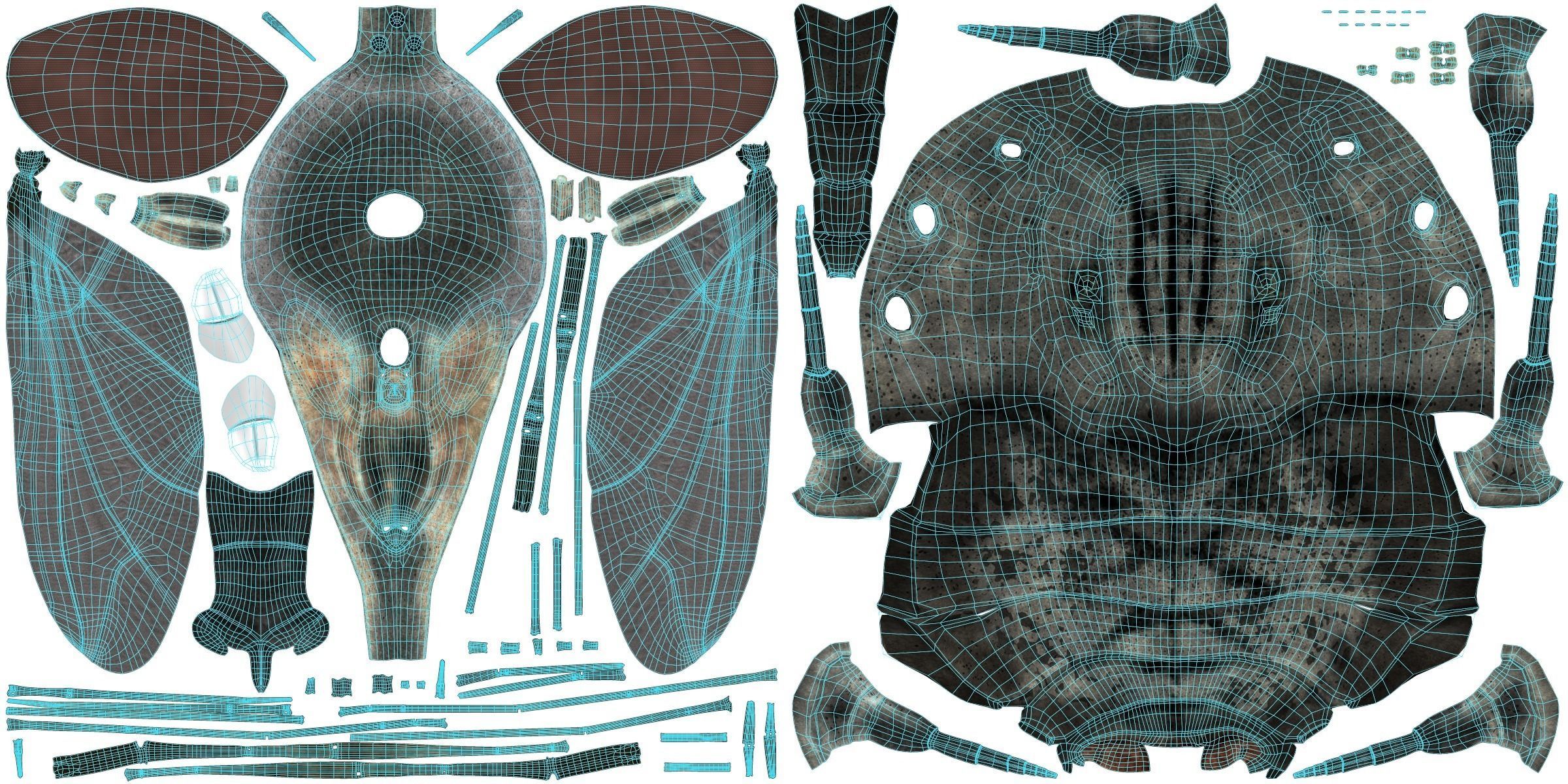 Housefly Animated VFX Grace 3D model_21