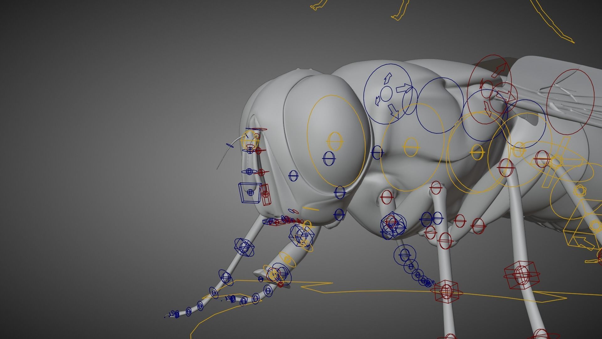 Housefly Animated VFX Grace 3D model_15