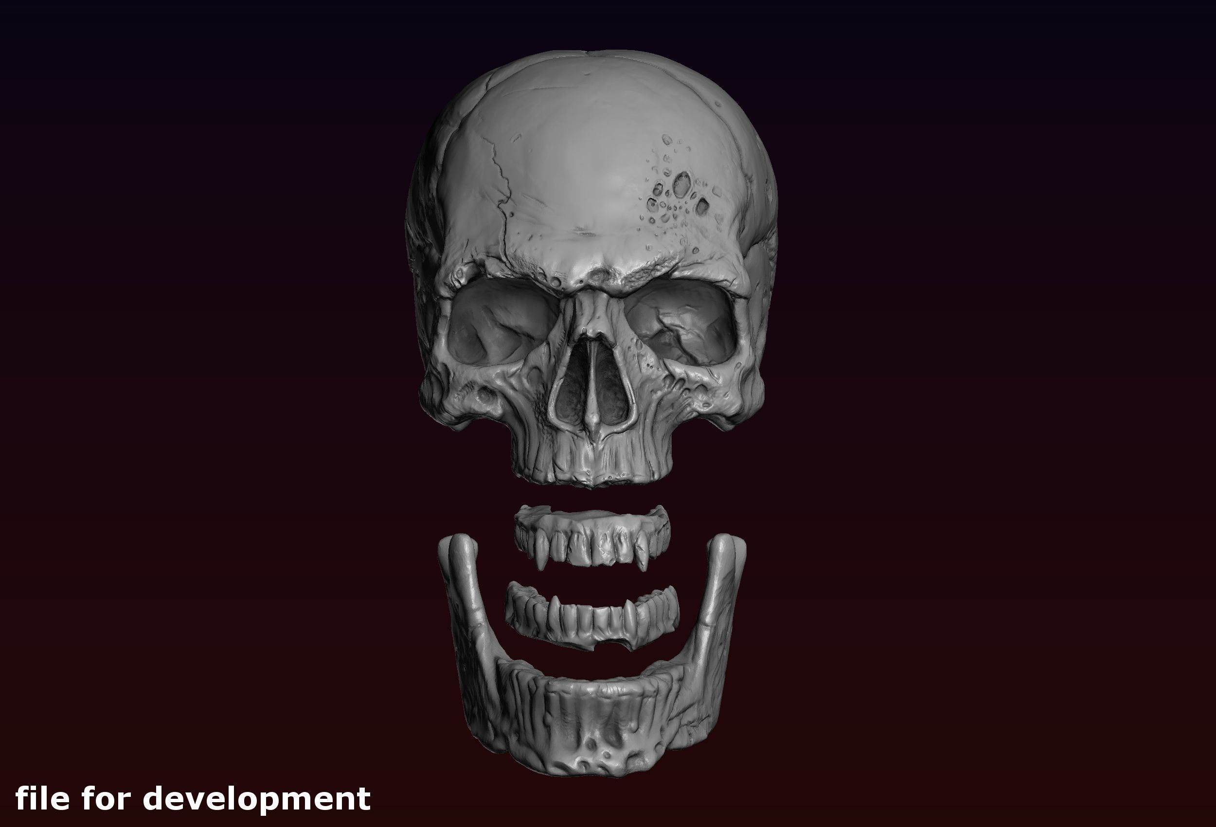 Skull detailed 3D print model_27