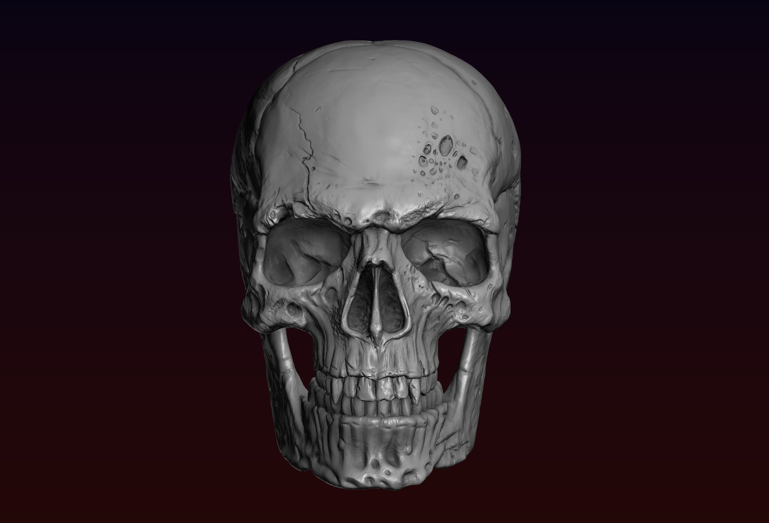 Skull detailed 3D print model_2