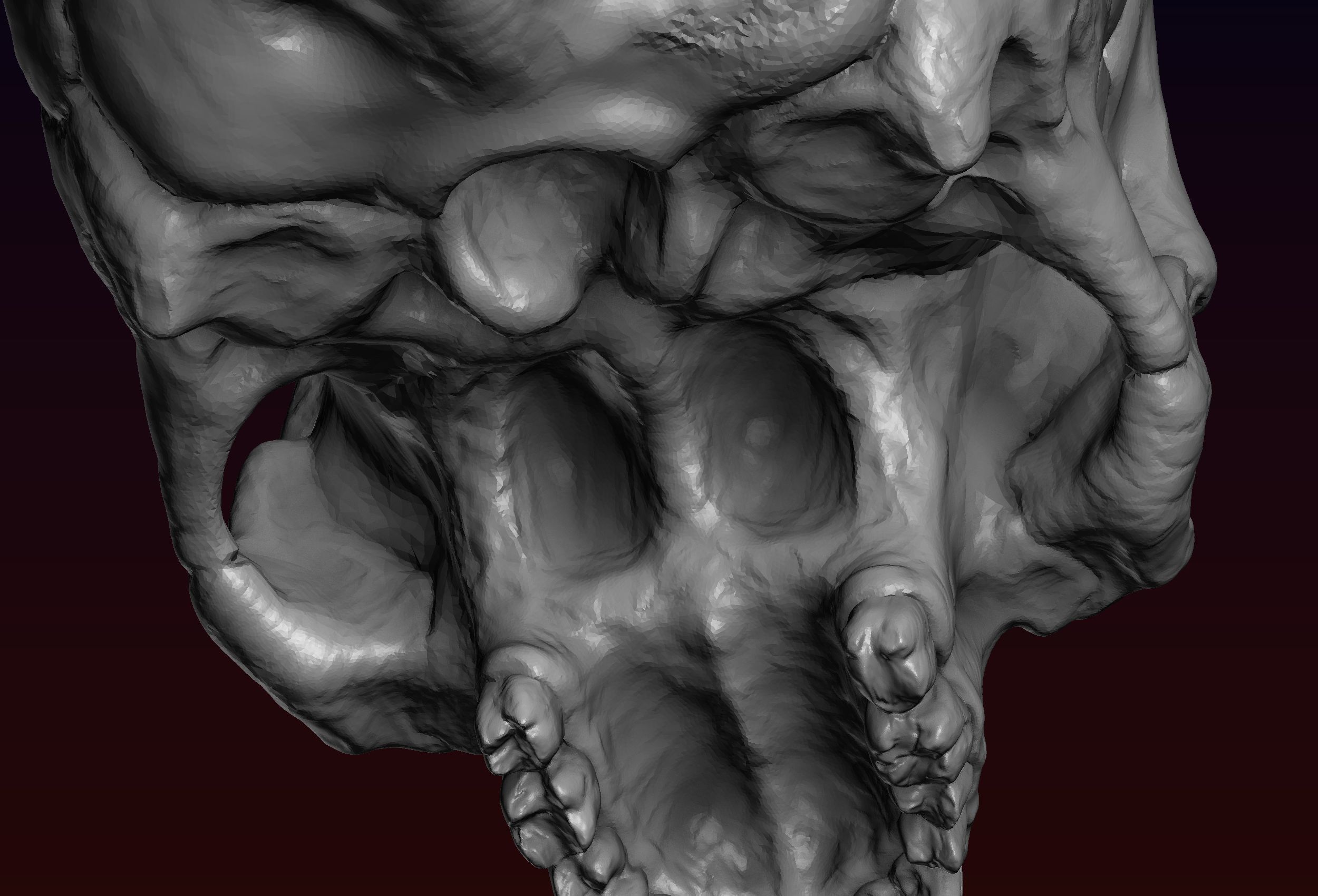 Skull detailed 3D print model_20