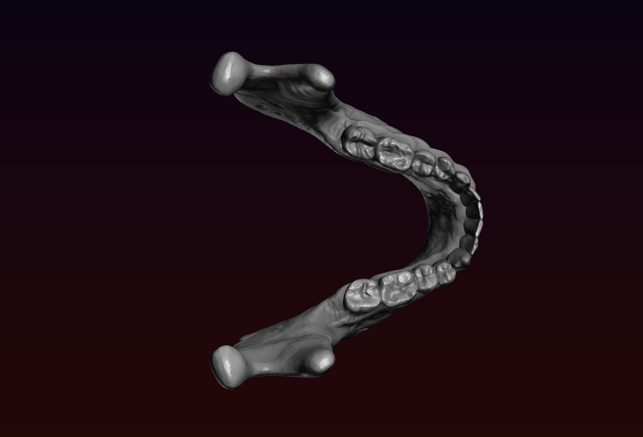 Skull detailed 3D print model_25