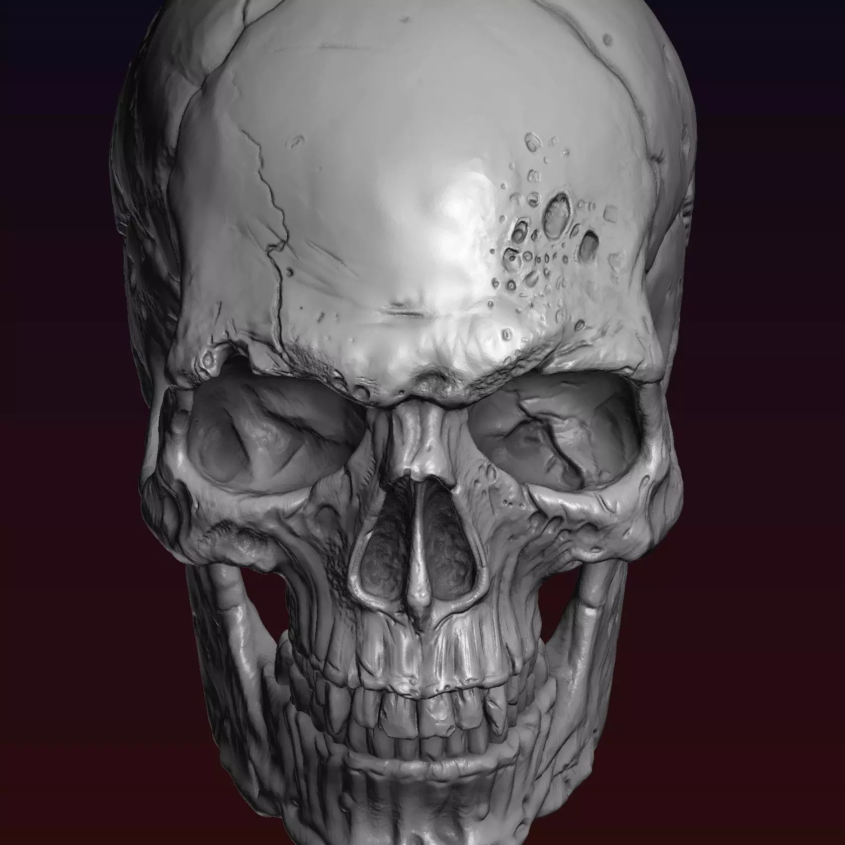 Skull detailed 3D print model_0