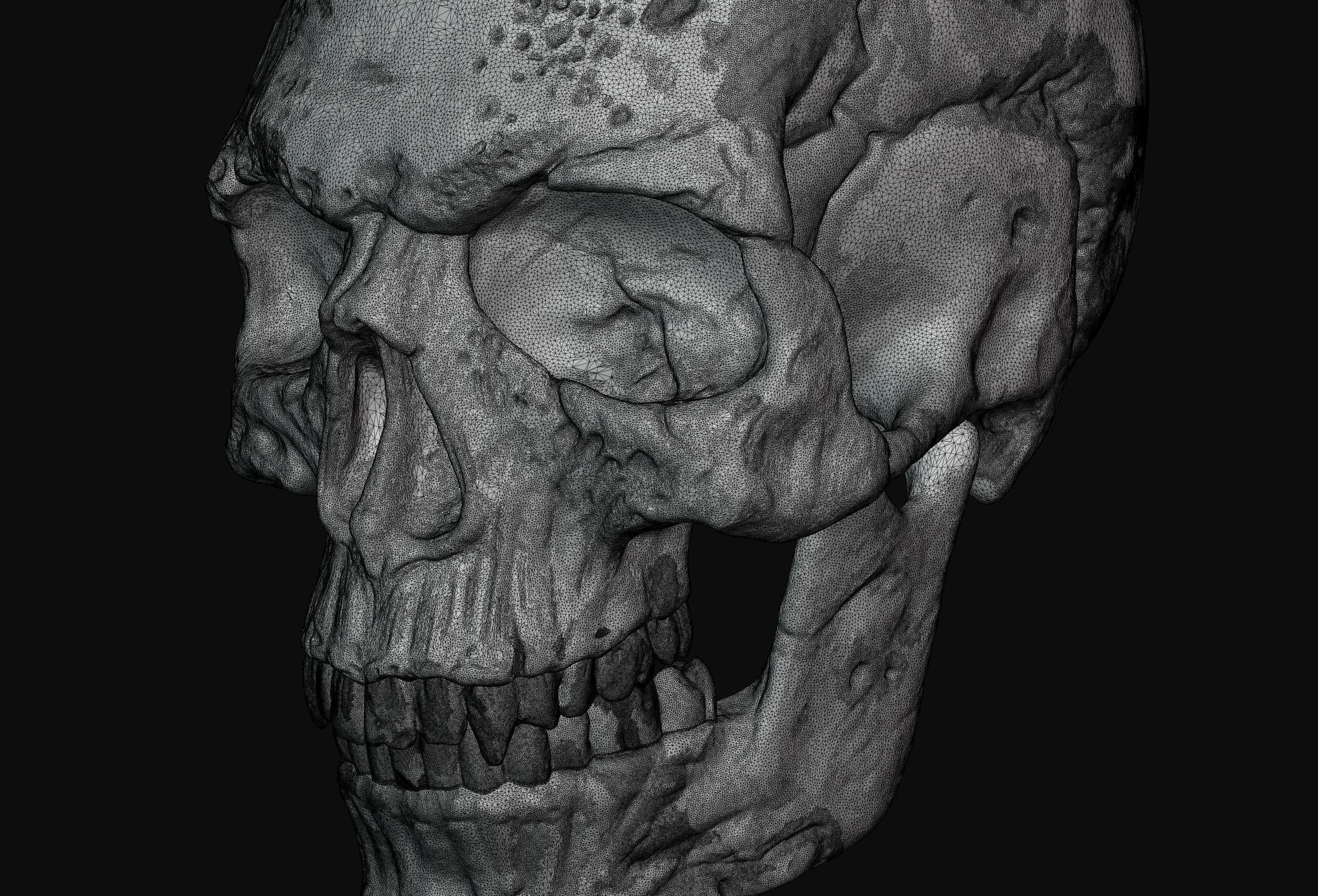 Skull detailed 3D print model_36