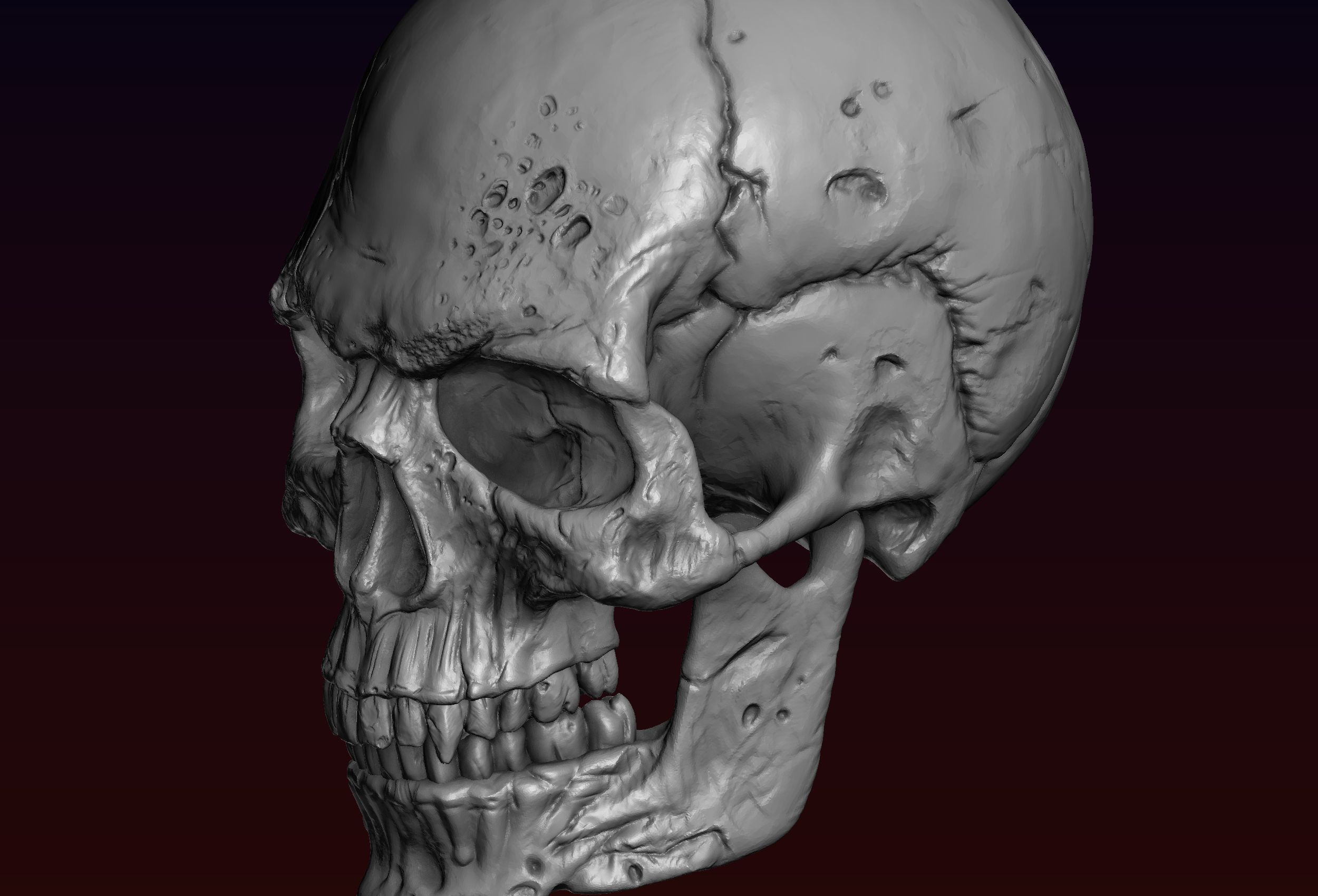 Skull detailed 3D print model_14
