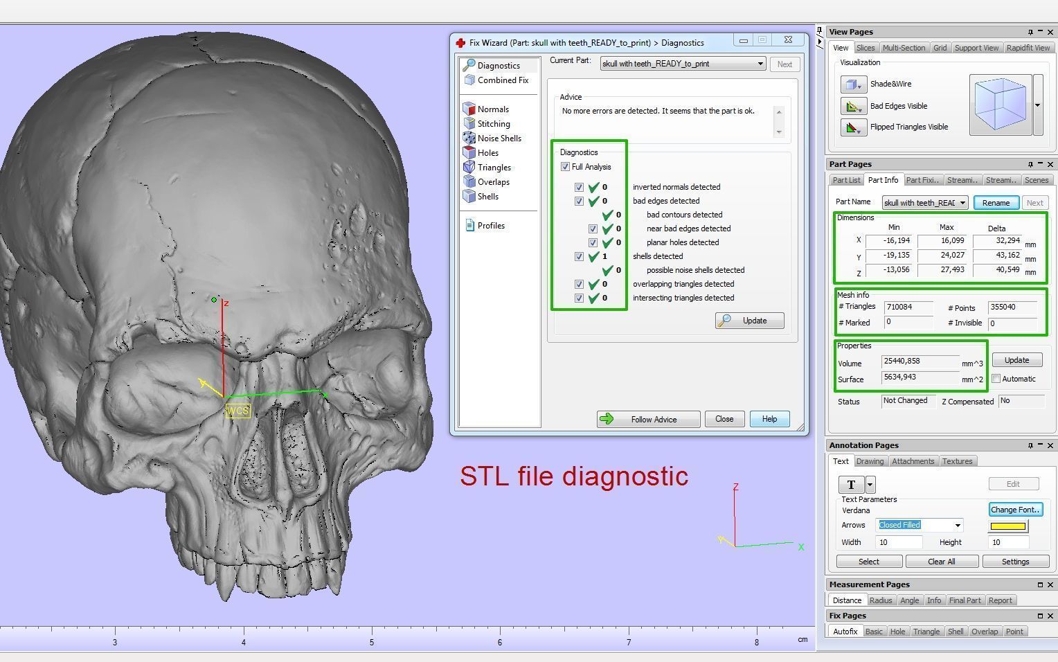 Skull detailed 3D print model_33