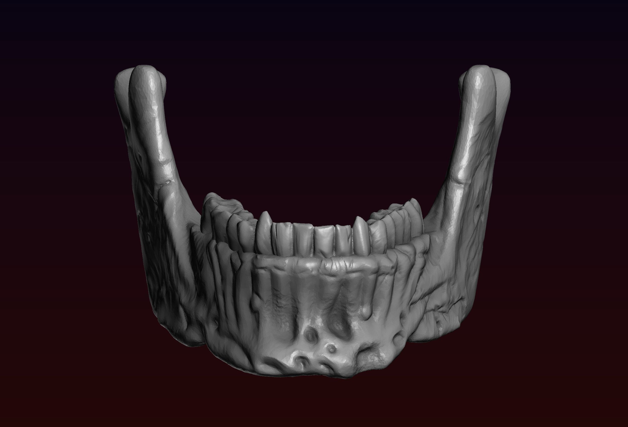 Skull detailed 3D print model_26