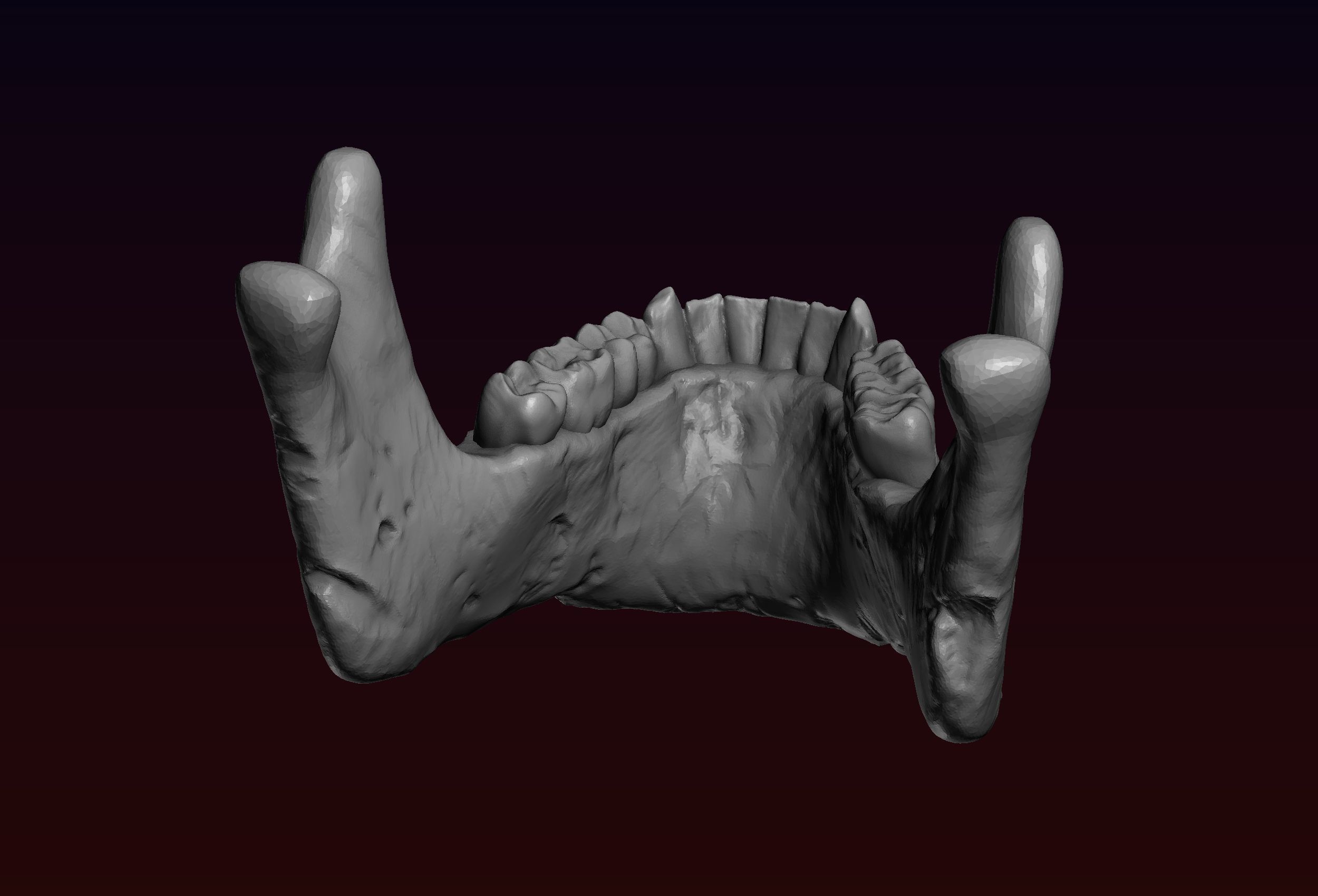 Skull detailed 3D print model_24