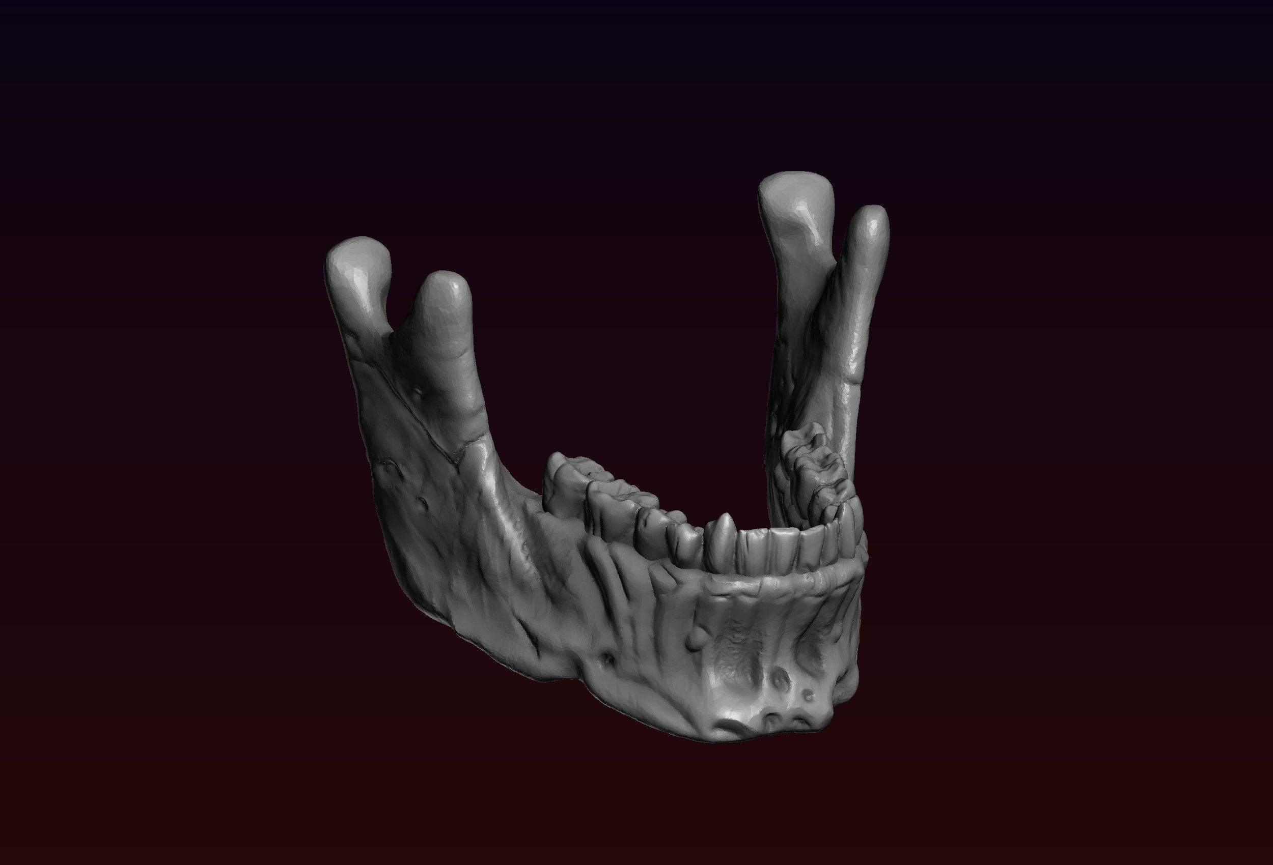 Skull detailed 3D print model_23