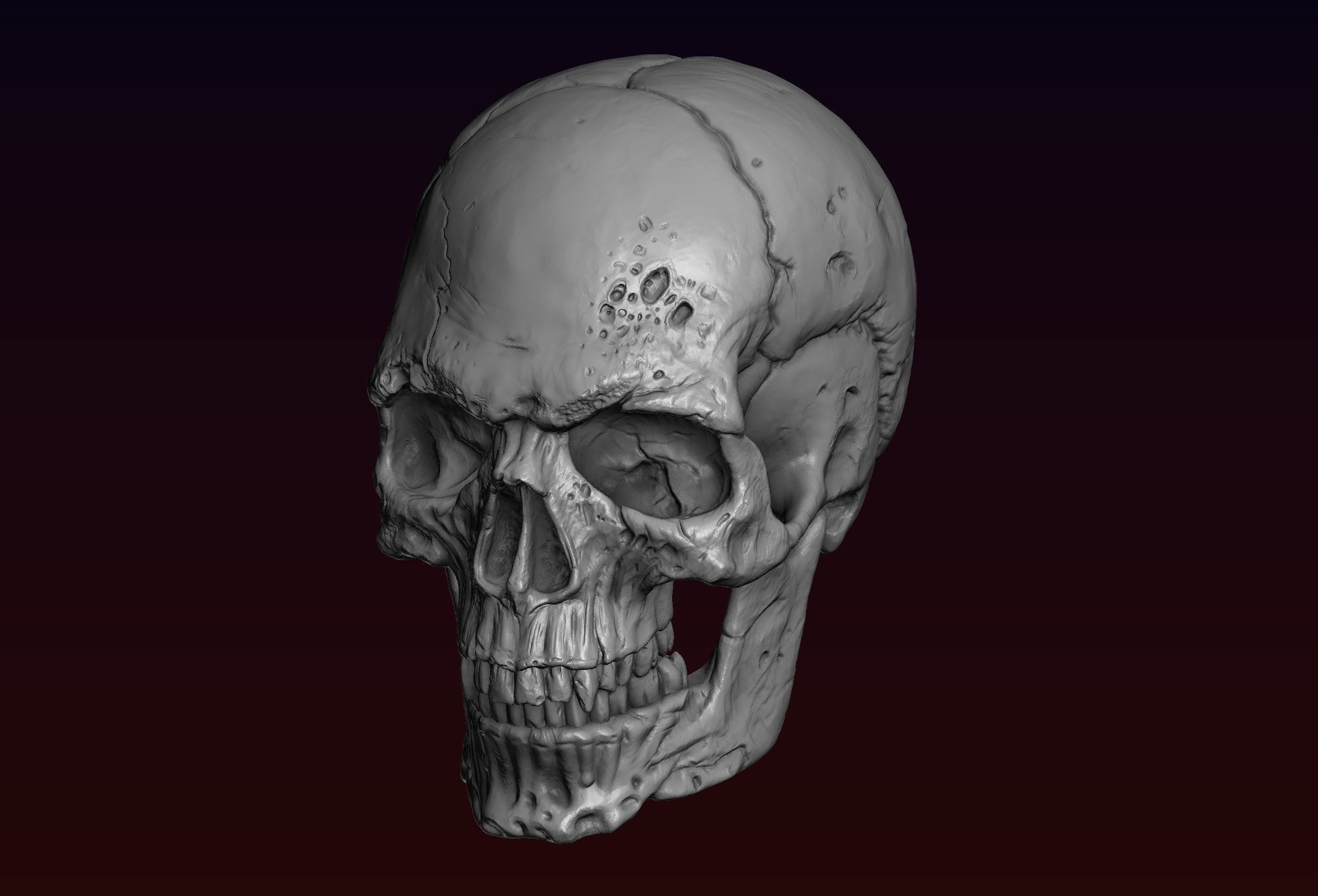Skull detailed 3D print model_8