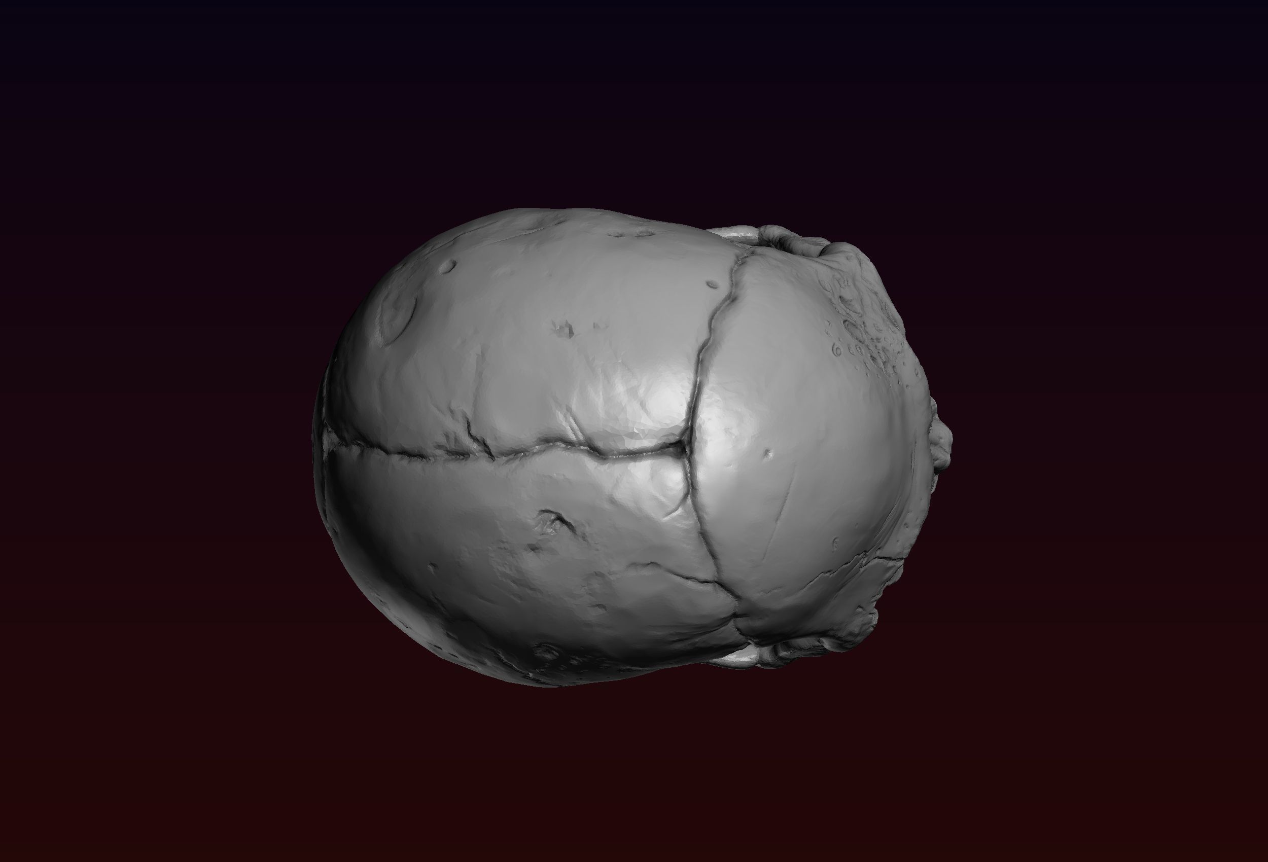 Skull detailed 3D print model_6