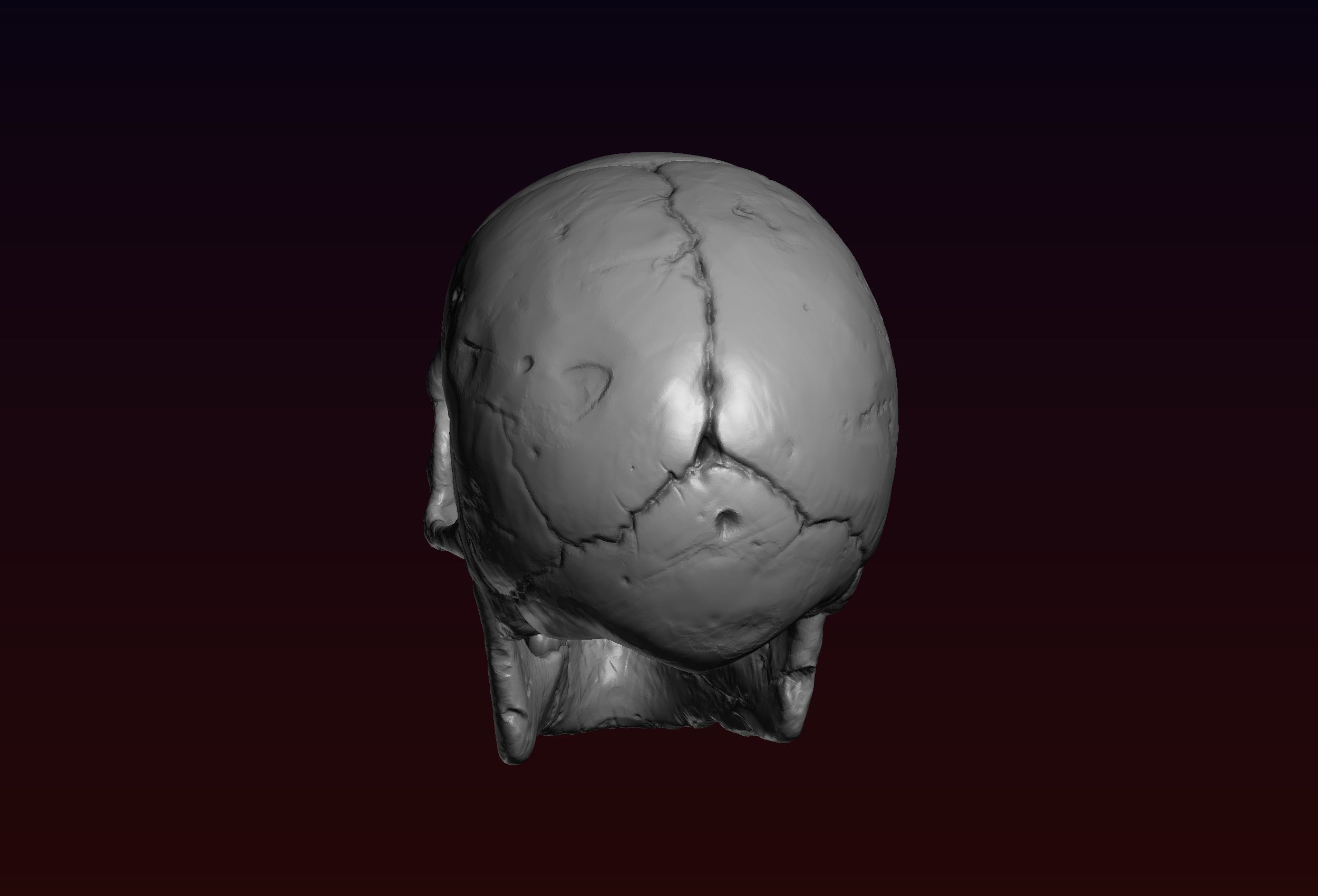 Skull detailed 3D print model_12