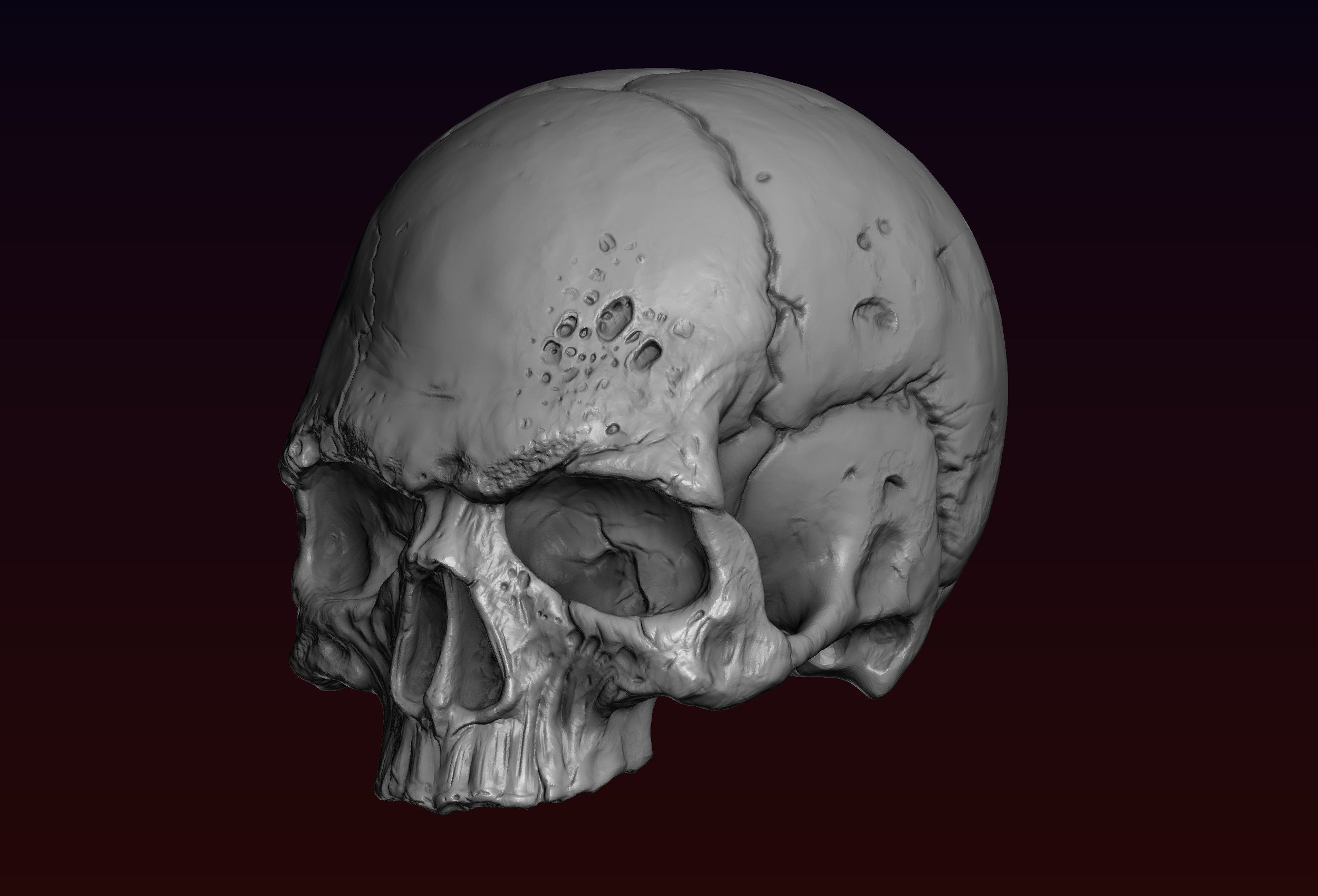 Skull detailed 3D print model_22