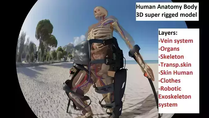 MEDICAL EXOSKELETON 3D model