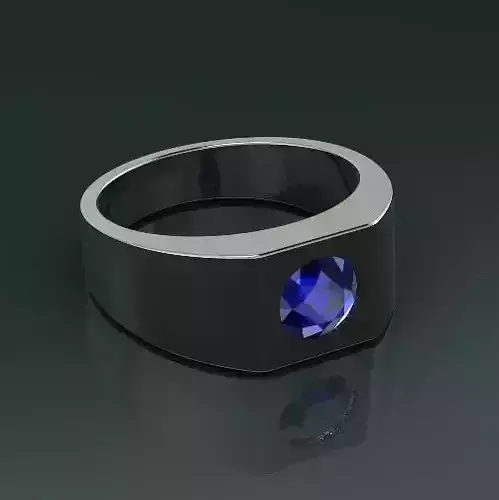 Ring Model 2578