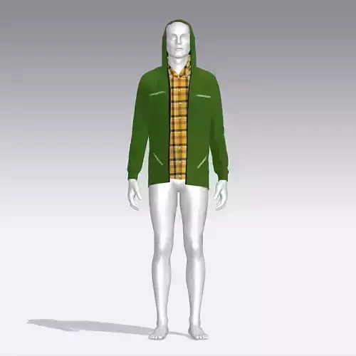 Hoodie with plaid shirt