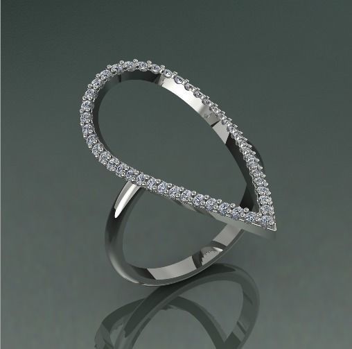 Ring Model 2545 3D print model_1